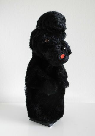 STEIFF 1955 - 66 Snobby Poodle Dog Hand Puppet Vintage German Mohair Toy Puppy 7