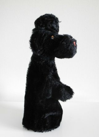 STEIFF 1955 - 66 Snobby Poodle Dog Hand Puppet Vintage German Mohair Toy Puppy 8