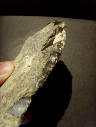 Paleolithic - Fine and rare retouched mousterian blade - c.  60,  000BP 2
