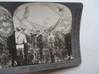 RARE WWI Antique Military War Stereo View,  CRASHED ZEPPELIN WRECKAGE,  Underwood 2