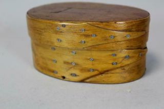 RARE 19TH C MINIATURE ALFRED,  MAINE SHAKER OVAL STORAGE BOX WITH UNUSUAL FINGERS 6