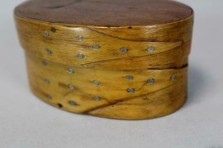 RARE 19TH C MINIATURE ALFRED,  MAINE SHAKER OVAL STORAGE BOX WITH UNUSUAL FINGERS 7