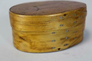 RARE 19TH C MINIATURE ALFRED,  MAINE SHAKER OVAL STORAGE BOX WITH UNUSUAL FINGERS 8