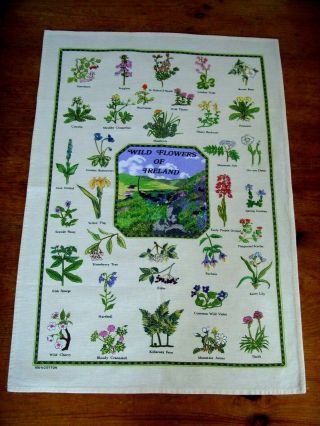 Gorgeous Vintage Tea Cloth Panel Hand Embroidered Wild Flowers Of Ireland