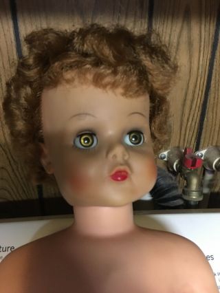 Vintage Supermarket Grocery Store 29 " Doll Marked 251 - Ae 76 Rubber