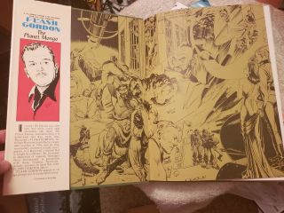 FLASH GORDON - IN THE PLANET MONGO VINTAGE 1974 ILLUSTRATED HARDCOVER 2