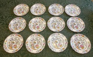 12 Antique Ashworth Bros.  Hanley Ironstone China 8 " Luncheon Plates Flying Bird