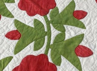 Red Green c 1850s Presidents Wreath APPLIQUE Antique Quilt Quilting 10