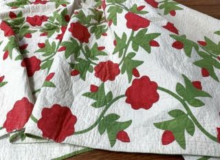 Red Green c 1850s Presidents Wreath APPLIQUE Antique Quilt Quilting 2