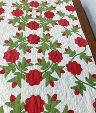 Red Green c 1850s Presidents Wreath APPLIQUE Antique Quilt Quilting 7