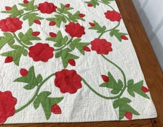 Red Green c 1850s Presidents Wreath APPLIQUE Antique Quilt Quilting 8