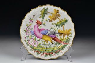Chelsea Hand Painted Porcelain Bird Plate 19th Century 2