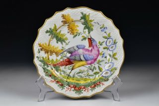 Chelsea Hand Painted Porcelain Bird Plate 19th Century 4