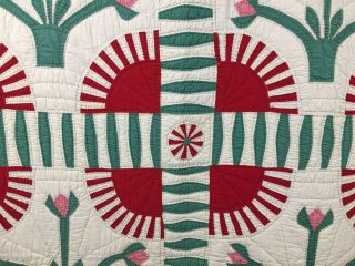 York Beauty Antique Quilt with Applique Pots of Flowers Very Graphic 2