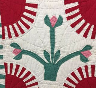 York Beauty Antique Quilt with Applique Pots of Flowers Very Graphic 3