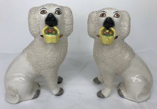 Pair Antique Staffordshire Spaniel Confetti Dogs With Baskets Statue Figurine 7 "