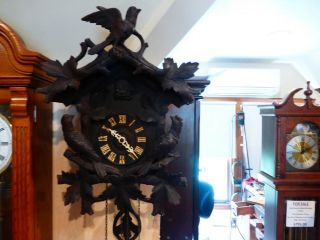 Antique Cuckoo Clock 1 Day - In