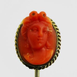 Antique Carved Coral Stick Pin.