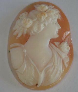 Antique Victorian Edwardian Carved Shell Loose Cameo