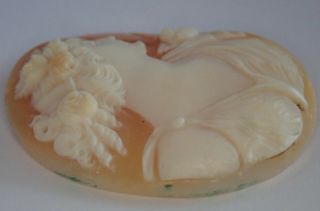 ANTIQUE VICTORIAN EDWARDIAN CARVED SHELL LOOSE CAMEO 2