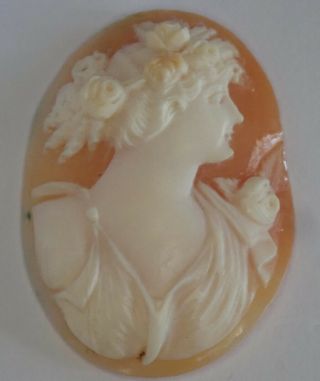 ANTIQUE VICTORIAN EDWARDIAN CARVED SHELL LOOSE CAMEO 3
