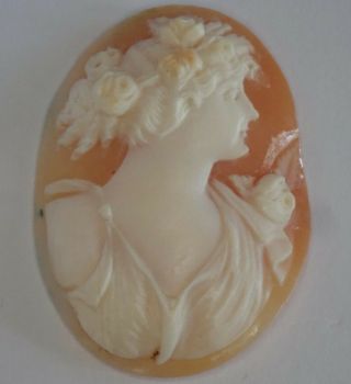 ANTIQUE VICTORIAN EDWARDIAN CARVED SHELL LOOSE CAMEO 5