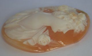 ANTIQUE VICTORIAN EDWARDIAN CARVED SHELL LOOSE CAMEO 6