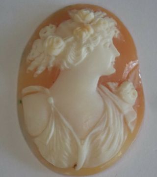 ANTIQUE VICTORIAN EDWARDIAN CARVED SHELL LOOSE CAMEO 7