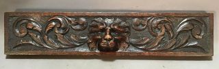 19thc Antique Victorian Estate Carved Wood Lion Bust Old Court Cupboard Salvage