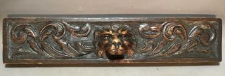 19thc Antique Victorian Estate Carved Wood Lion Bust Old Architectural Salvage