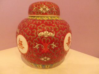 Fab Chinese Porcelain Bat & Calligraphy Design Ginger Jar/pot/vase 12.  5 Cms Dia
