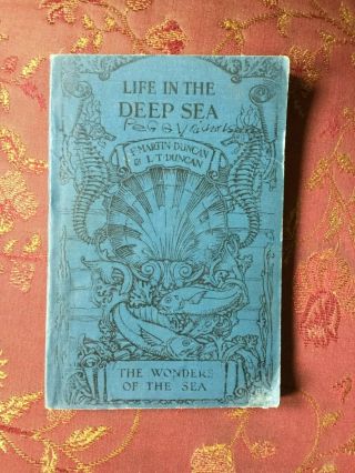 Life In The Deep Sea Antique 1928 Marine Biology Book Natural History
