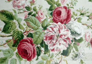 JUBILEE ROSE by COLEFAX & FOWLER - CLASSIC FABRIC DESIGN 3 yards 4