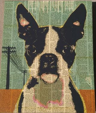 Vintage Boston Terrier Dog Painting