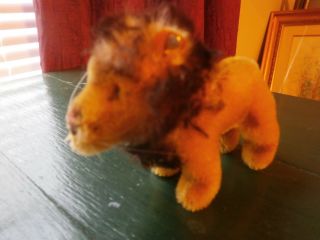 Steiff Vintage Leo Lion Mohair 3.  5 H X 4.  5 L 1310,  00 Made 1965/67