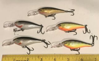 5 Lures Rapala Shad Rap Sr 5 Crankbait Pre - Owned Silver Gold Hot Steel Un Fished