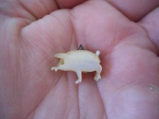 Antique Georgian/ Victorian Miniature Carved Mother Of Pearl Pig Charm Pendant