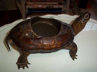 Antique Victorian 1900 Taxidermy Turtle Ashtray Vintage