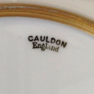 Set 11 Exquisite Cauldon for Tiffany & Co.  Decorated,  Raised Gold Dinner Plates 9