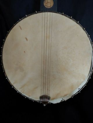 Banjo,  August Pollmann,  Professional,  A G Wood Tailpiece,  G L Wild & Bros,  Wash.  D.  C. 4