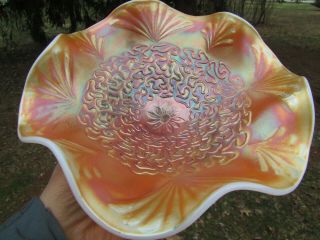 Dugan Soutache Antique Carnival Art Glass Ruffled Bowl Peach Opalescent