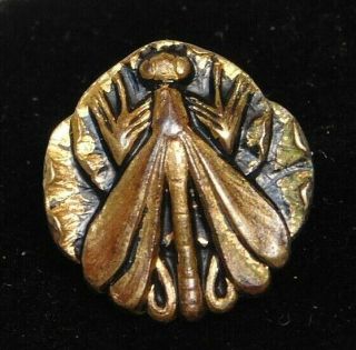 Antique Vtg Button Victorian Brass Dragonfly Insect Omega Shank 1/2 S