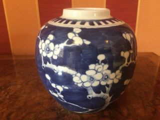 Vintage Chinese Prunus Blossom Blue & White Ginger Jar