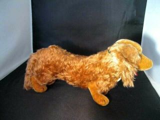 Vintage Steiff Red Mohair Waldi Dachshund With Tag Germany Ex Conditio
