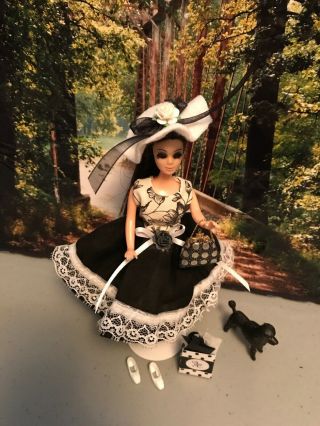 vintage topper dawn doll,  going shopping  4
