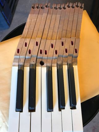 Antique Piano Keys (12)