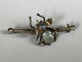 Antique Edwardian 1900’s silver moonstone bug insect brooch pin. 3