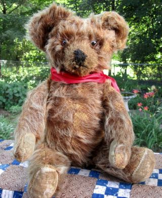 Antique Or Vintage Brown Teddy Bear Mohair Velvet Pads English