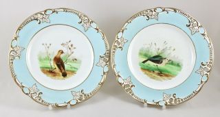 Antique Contnental Porcelain Pierced Hand Painted Bird Cabinet Plates