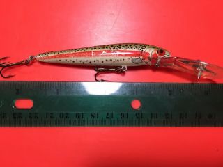Rebel Spoonbill Minnow Fishing Lure Naturalized Musky Bass Vintage Rare Perch A